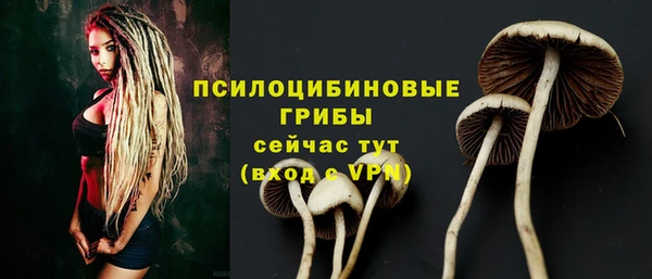 спиды Абинск