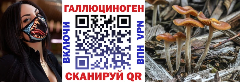 Псилоцибиновые грибы прущие грибы  Красный Сулин 